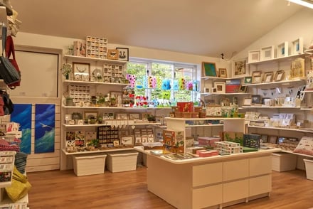 5 Best Ways To Organize Craft Tools for Higher Sales